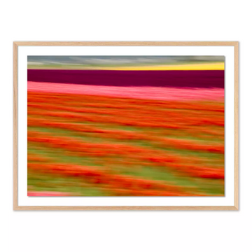 Blurred Flowers II by Geoffrey Baris, White Oak Frame