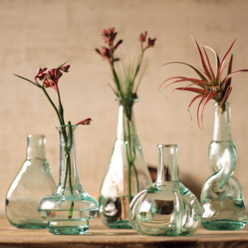 Bottle Bud Vase, Style Varies