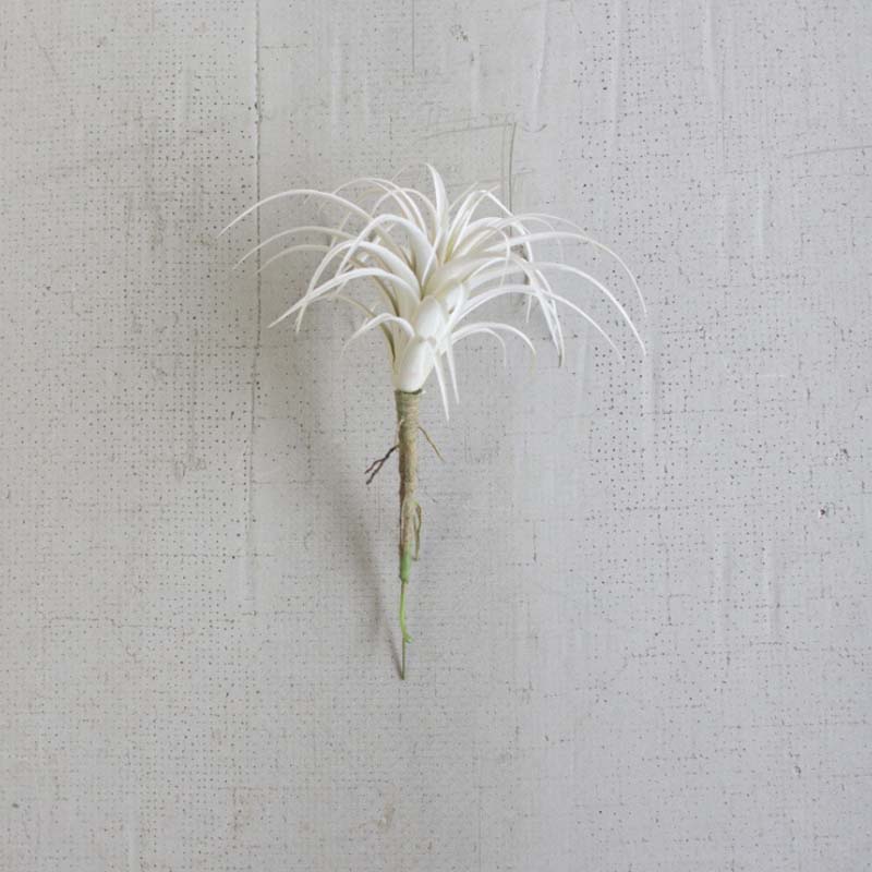 small faux air plants White Air Plant, Small – NEST AT HOME
