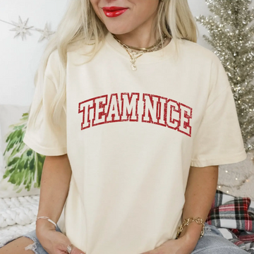 Team Nice Tee Shirt